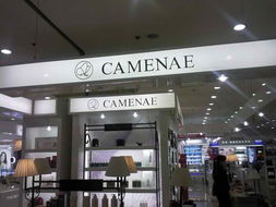 秦皇島小馬廣告策劃 專業(yè)廣告設計，全方位產品展示解決方案